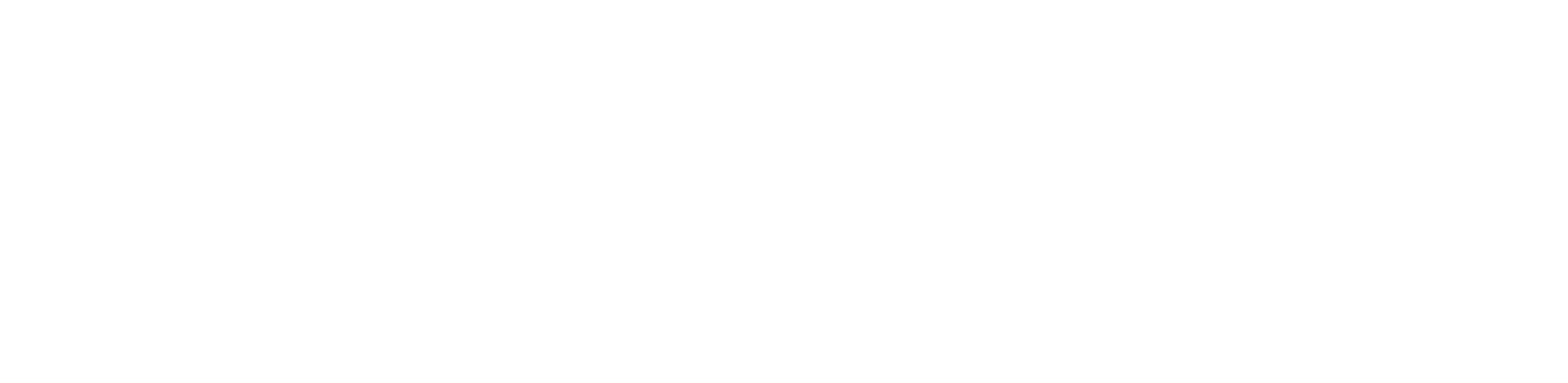Soulver Fly Future Logo